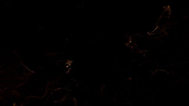 Luxury Gold Particle Motion for Digital Transitions and Overlays