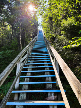 un escalier en bois dans la for&ecirc;t	
