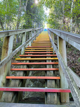 un escalier en bois dans la for&ecirc;t	