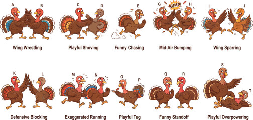 Fototapeta premium Turkeys_fighting_vector_collection_2K_20260917101550.eps