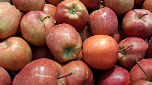 Fresh ripe red Gala apples close up, organic fruits, sweet healthy food ingredients and grocery store agricultural retail concept. Healthy snacks and desserts. Food for vegans and vegetarians.
