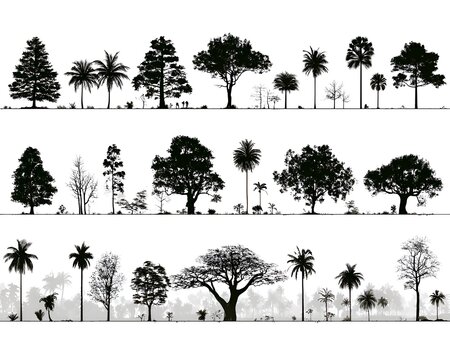 Collection of diverse tree silhouettes in a horizontal banner format, showcasing various species like conifers, deciduous trees, and palms against a white background