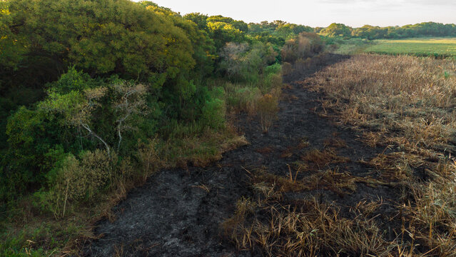 Incendio en Monte de Colonia Ben&iacute;tez, Chaco, Argentina