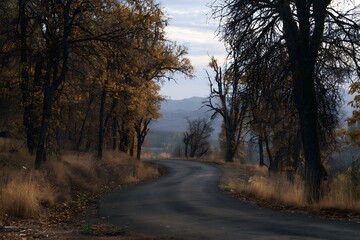Fototapeta premium A quiet rural road curving through an autumn forest with golden trees and mountain views in the distance