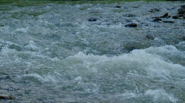 Rough river water flows fast, splashing white foam over rocks. Turbulent currents rush through shallow, rocky streambeds. Nature's raw power moves without pause. Great for adventure, outdoor