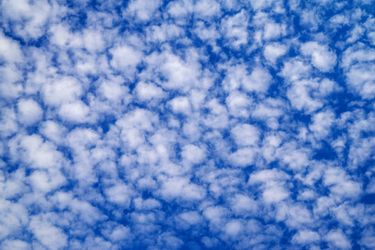blue sky densely covered with small white cloudlet ripples in clear weather