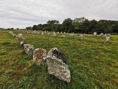 Rows of lichen-covered standing stones stretch across a grassy field at the Carnac megalithic alignments in Brittany, France, September 27, 2023.