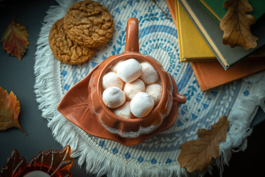 Autumn vibes. Mug of hot chocolate or cocoa with marshmallows. Warm cozy fall mood. 
