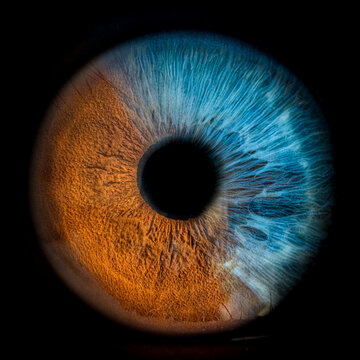 Two eyes in the dark combined to one