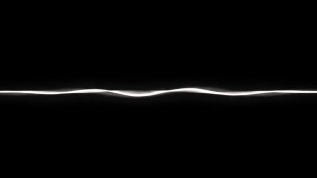 Monochrome Audio Waveform Signal Visualization