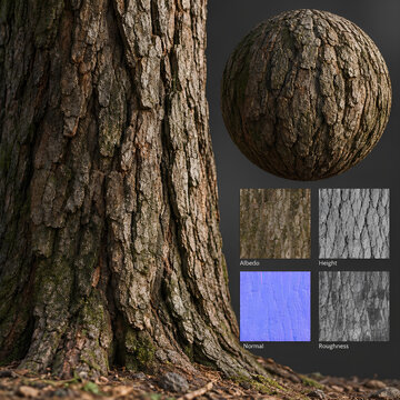 Tree Bark Texture Seamless PBR Material 3D Forest Wood Surface