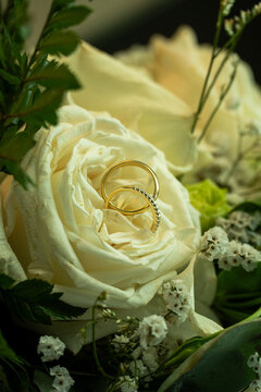 Anillos de matrimonio dorados 