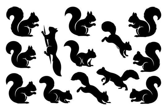 Silhouette collection of squirrels in various poses: climbing, jumping, standing.