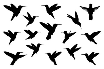 Fototapeta premium Silhouettes of hummingbirds in various flight poses on white background.