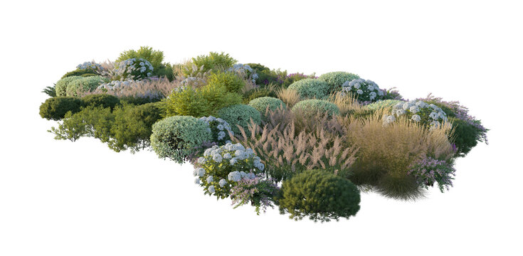 Garden landscape composition with blooming hydrangea bushes, ornamental pampas grass, and shrubs (hydrangea, pampas grass, shrubs) isolated PNG on a transparent background cutout
