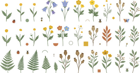 Fototapeta premium Vintage wildflower botanical collection, hand drawn meadow floral elements, rustic garden herbs and forest fern vector set for wedding stationery