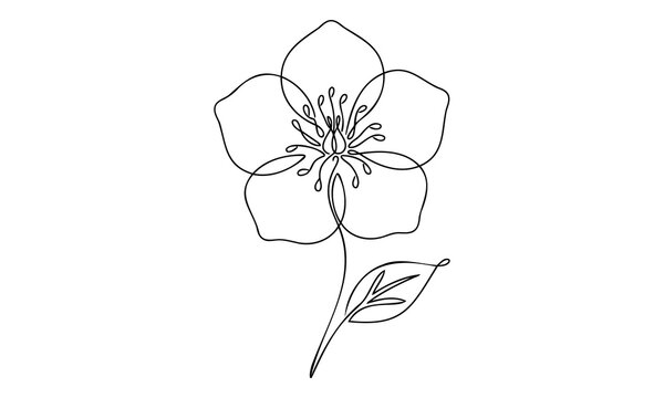 Minimalist single continuous line of a five-petaled flower with a stem and a single leaf, isolated on a white background, black ink