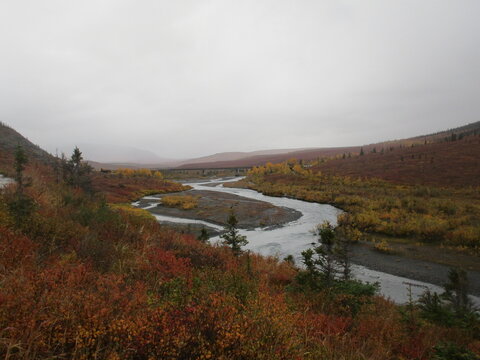 river in autumn
