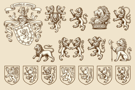 Monochrome line-art engravings collection of heraldic lions, illustrating various traditional postures including lion rampant, lion passant, tricorporate lion, and full coat-of-arms shield