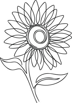 Sunflower continuous line with large petals and a central disk on a plain white background, for botanical wall, and home decor