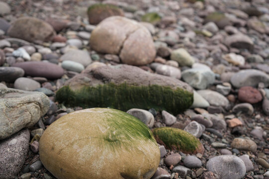 stones on the beach