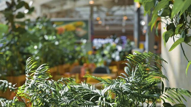collection of vibrant green plants in an indoor garden setting. Tables and chairs are placed among the foliage, creating a cozy and inviting atmosphere