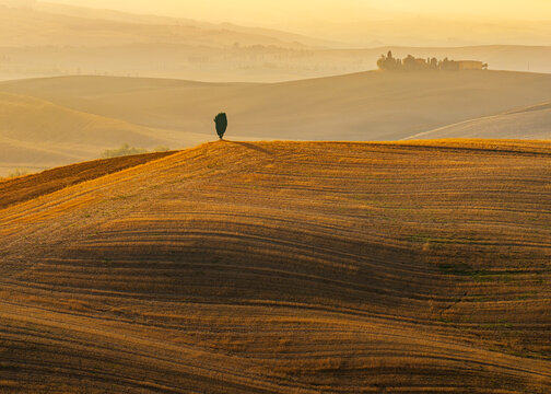 Lumi&egrave;re dor&eacute;e sur les collines de la Val d&rsquo;Orcia
