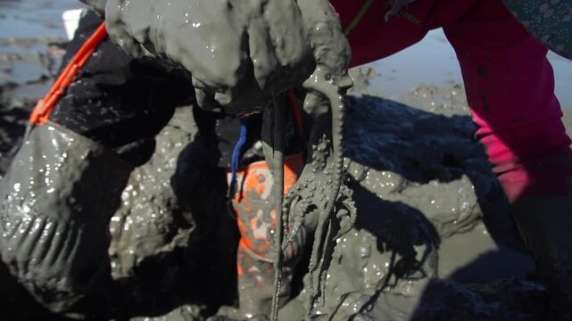 Korean Mudflat Octopus Harvesting Fishing Fisher Mud Mudflat Sea Ocean Fisherman Korea 한국 갯벌 낙지잡이 뻘낙지 낙지 어민 채취 수산물 해양 전통 작업 어업 바다