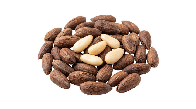 Pili nuts in shells with peeled kernels, organic raw Canarium ovatum seeds, healthy vegan superfood snacks for keto and paleo diets isolated PNG with Transparent Background