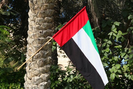 United Arab Emirates national flag on a palm tree in Dubai.