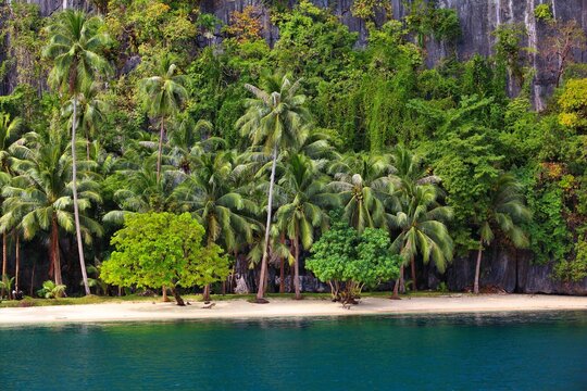 Palawan island hopping tour view of Pinagbuyutan Island beach. Philippines beautiful nature.