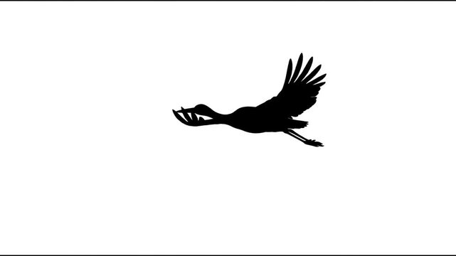 Isolated black silhouette of a crane bird flying with wings spread wide