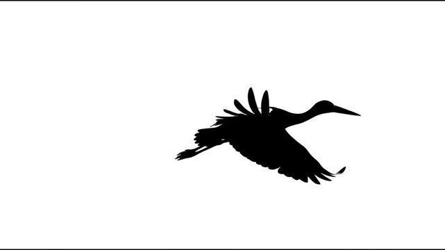 Isolated black silhouette of a stork flying with wings spread wide