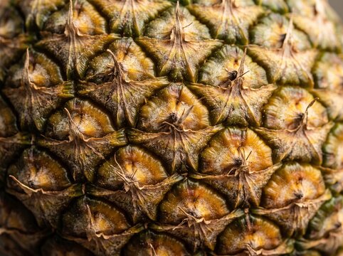 Close-up Texture of Pineapple Skin: An extreme close-up reveals the intricate, geometric patterns of a ripe pineapple's textured skin, showcasing its natural beauty and detail.