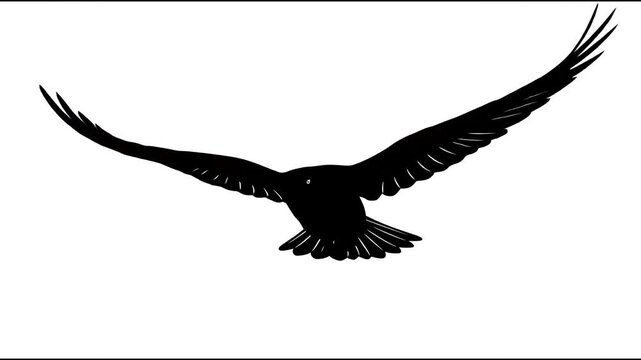 Silhouette of a flying crow bird isolated on a white background