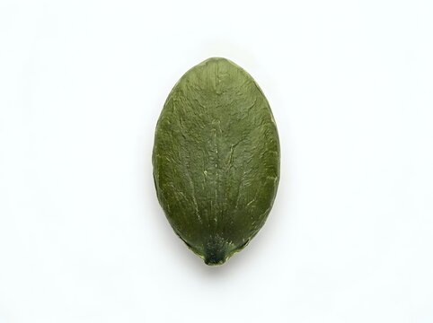 Whole green zucchini with textured skin isolated on white background