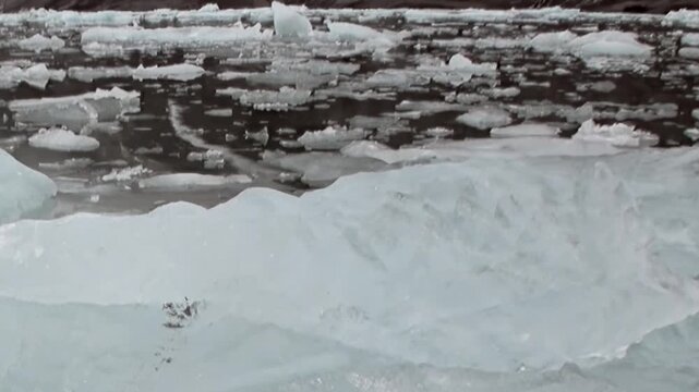 Dense broken ice covers the surface of cold water in a close view. Visible secondary elements include natural light and surface texture, adding depth and context to the overall composition.
