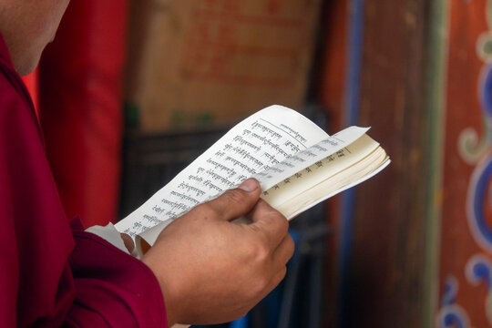 A monk reads a Tibetan scripture book at Shachong monastery, Qinghai Province, Wayaotai, China