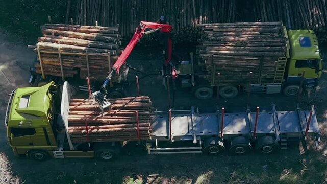 Goldeck Holztransporter