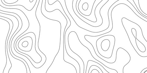 Minimalist black and white topographic contour map background with delicate line art for geography and modern design © MD
