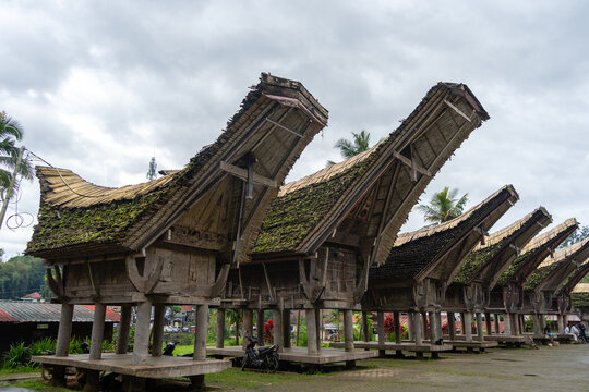 Traditional Toraja houses with buffalo horns, Sulawesi, Indonesia