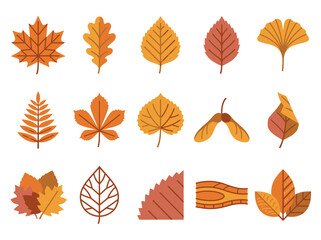 Fototapeta premium Premium set of 15 unique autumn leaf vector icons for commercial seasonal design projects featuring diverse tree foliage and botanical elements