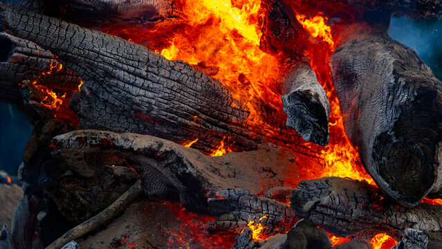 Embers glowing beneath charred timber. Hot wood embers among gray ashes. Embers burning between blackened wood fragments. Glowing red embers with orange flames.