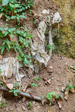 torn woven plastic sack buried in soil, dirty weathered garbage with green plants growing around environmental pollution and waste management concept