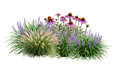 Naklejka premium Collection of flowers and low shrubs for landscaping, transparent background