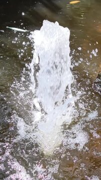 Close-up of water jet bubbling and splashing up in a small garden fountain pond