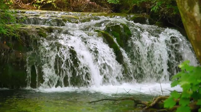 Closeup of waterfall cascade in deep forest. Wild nature water fall creek landscape. Natural wild environment, trees, wood, river background. 