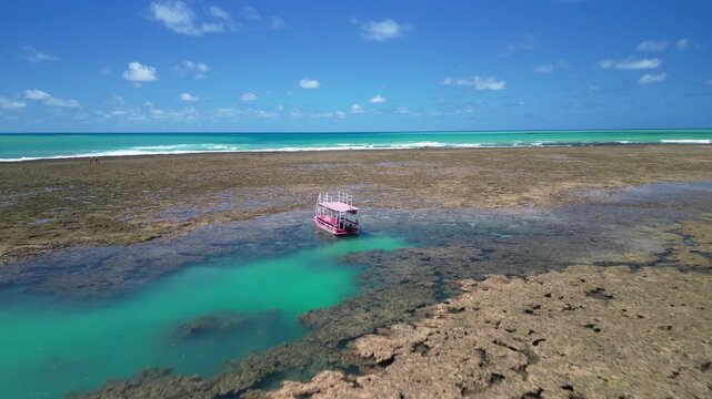 Vista a&eacute;rea de guarda-sol rosa isolado em meio a piscinas naturais e recifes na mar&eacute; baixa, cen&aacute;rio exclusivo do litoral de Alagoas durante viagem