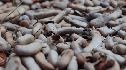 Close-up of tamarind fruit © Jimmy
