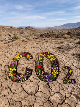 Dry cracked earth with colorful flowers growing in CO2 cutout